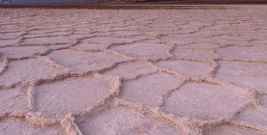 соты на грунте, соты в пустыне