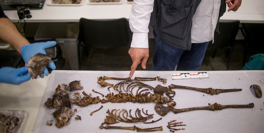 скелет, испания, находка