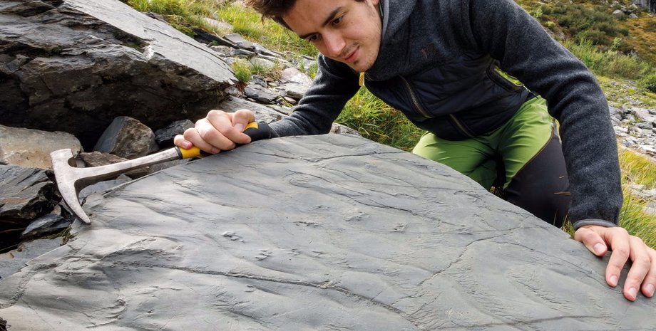 доісторичні сліди, сліди рептилій, сліди амфібій