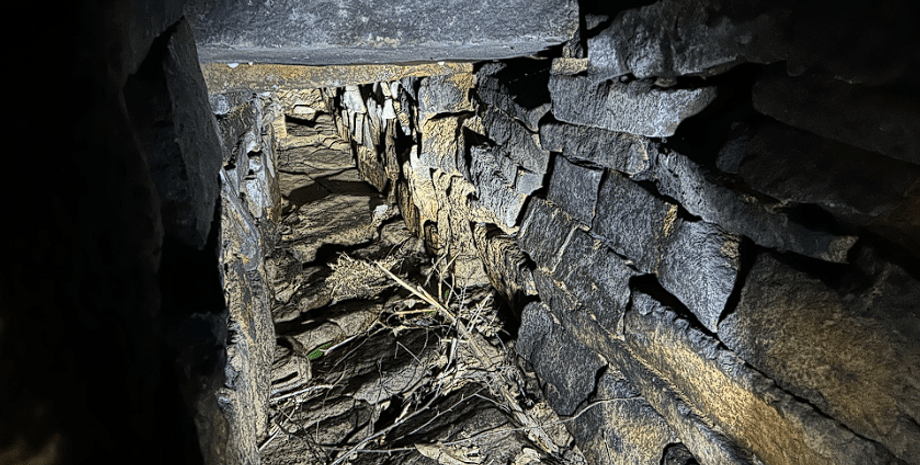 Мужчина нашел подземный туннель, подземелье, фильм ужасов, необычная находка, соцсети, не трогали много лет, скрытая лестница