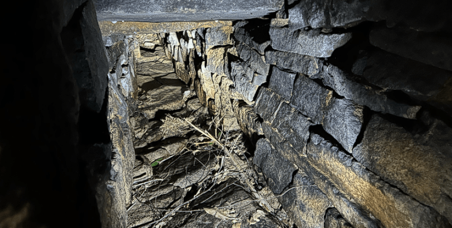 Чоловік знайшов підземний тунель, підземелля, фільм жахів, незвичайна знахідка, соцмережі, не чіпали багато років, приховані сходи
