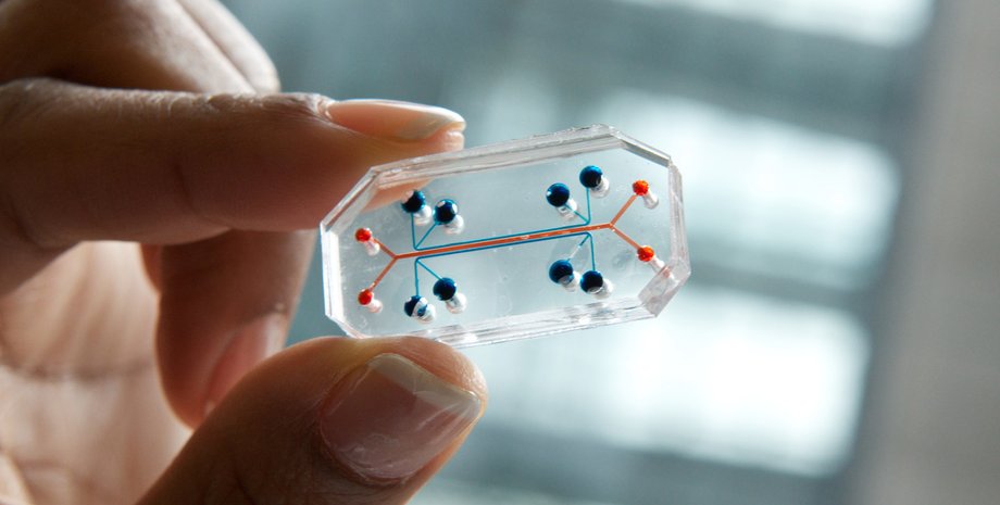 чипирование,