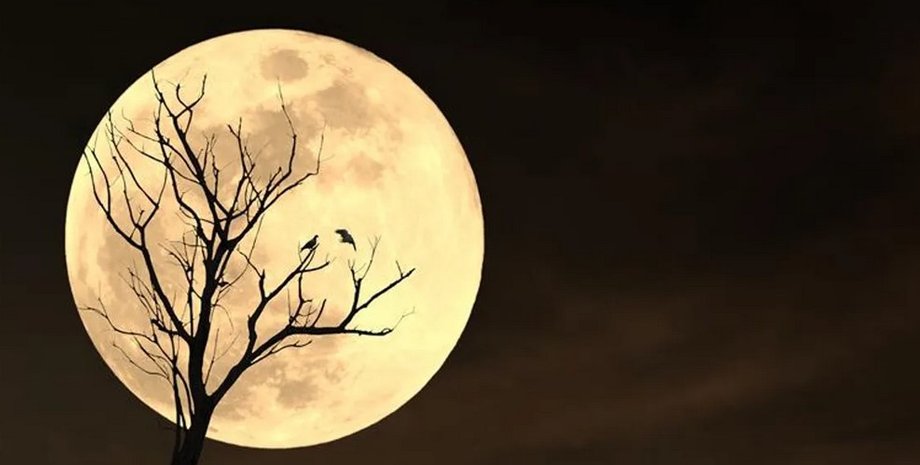 Луна полная Луна