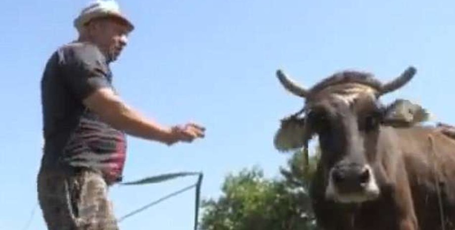 Пенка и ее хозяин / Фото: Facebook