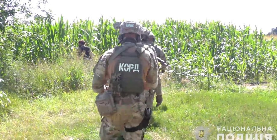 Фото: скриншот