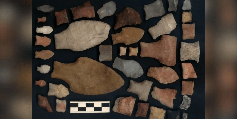 Дослідники проаналізували 238 стародавніх геномів