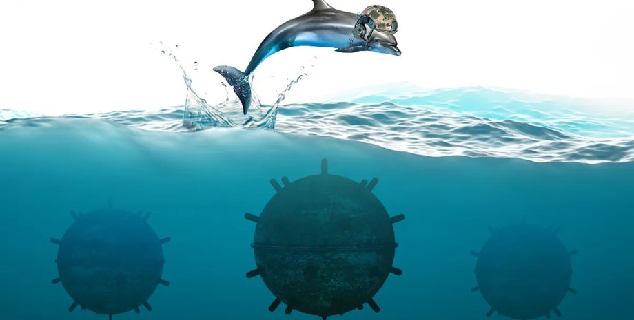 дельфіни, дельфіни ядерна зброя