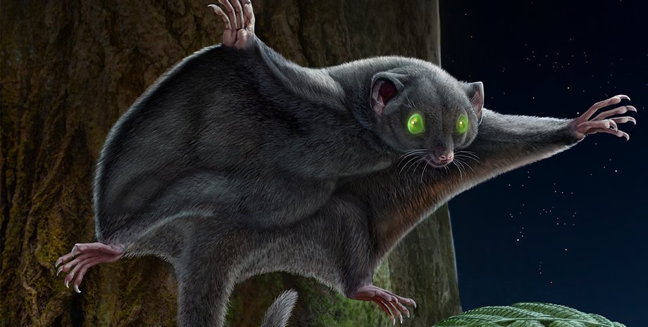 млекопитающие, древние млекопитающие