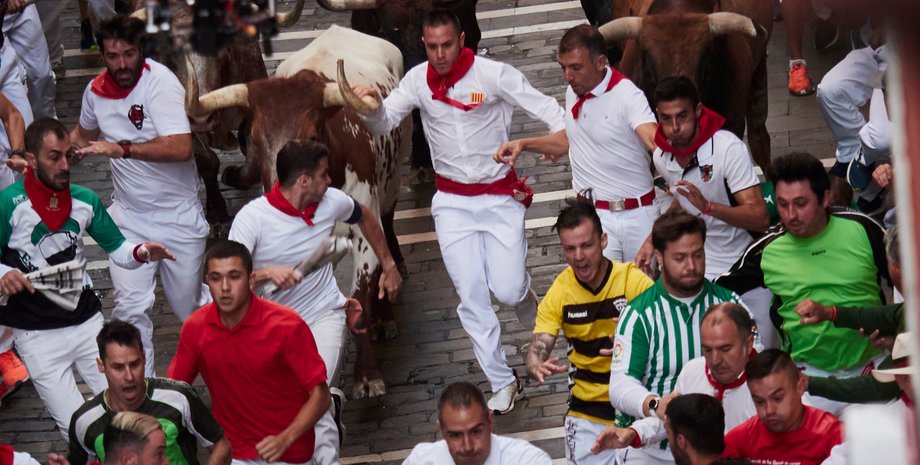 забег быков, испания, бой быков, валенсия