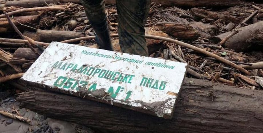 Фото: zakarpatlis.gov.ua