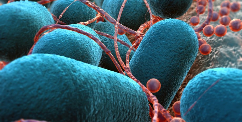 Иллюстрация: GunnarAssmy/Depositphotos