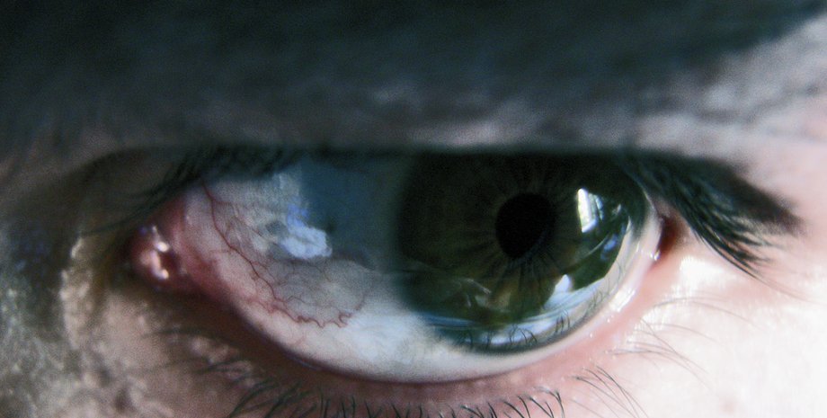 Фото: flickr.com/photos/mentalnoise