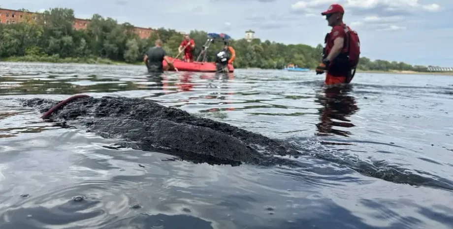 археологи, археология, лодка, Польша, дерево, крепость, неолит, находка, волонтеры, древесина, датировка, ученые, река