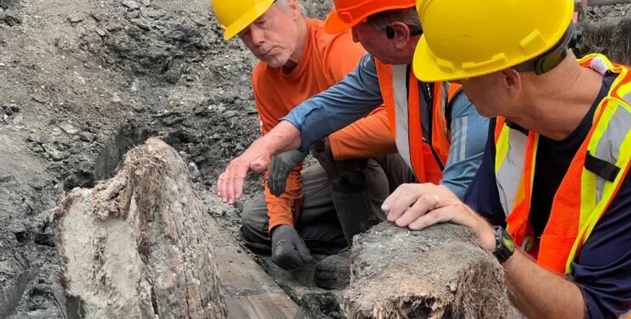 новини світу, новини сша, артефакт, знахідка, корабель, 19 століття