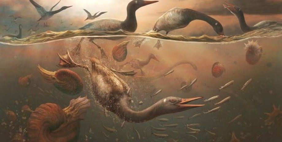 птица, древняя птица