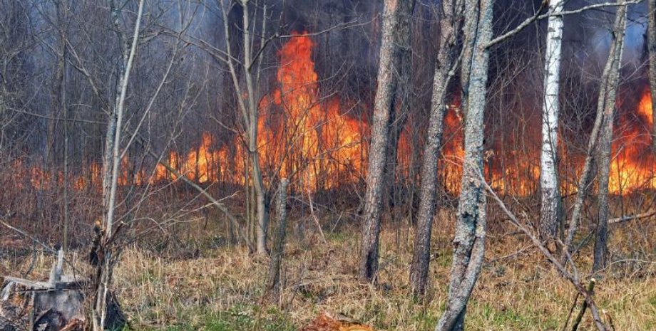 Фото: dsns.gov.ua