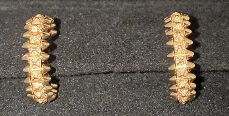 Ювелирные украшения, серьги, Cartier, покупка в интернете, технический сбой, курьезы, Мексика