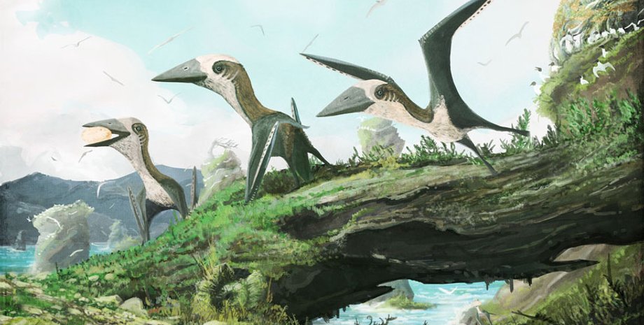 птерозавры, природа, дерево, рисунок