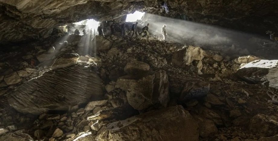 ДНК, медведи, пещера, Мексика