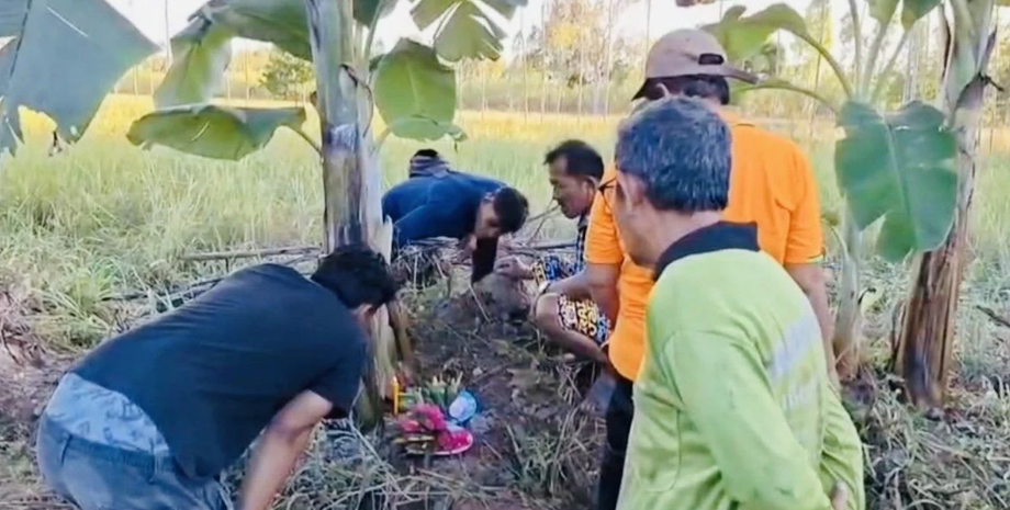 Банановое дерево, Таиланд, удача, мистика, дерево творит чудеса, лотерея, удача