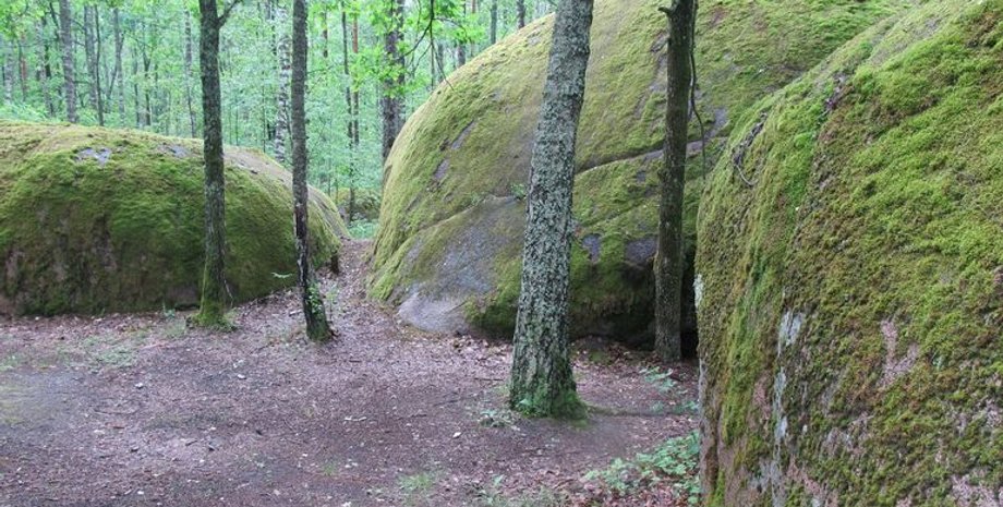 Фото: Житомирское ОУЛОХ