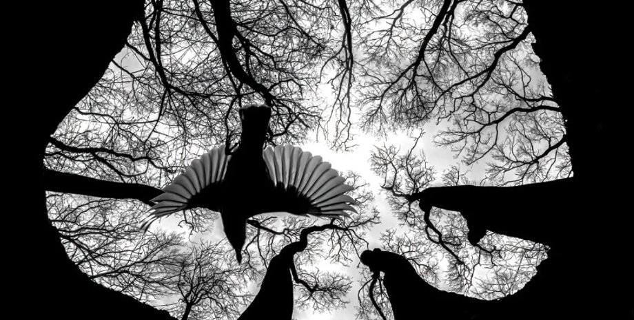 конкурс великим планом, фотоконкурс