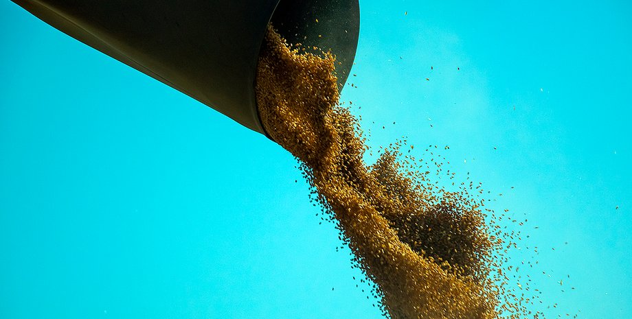 пшеница, урожай, экспорт