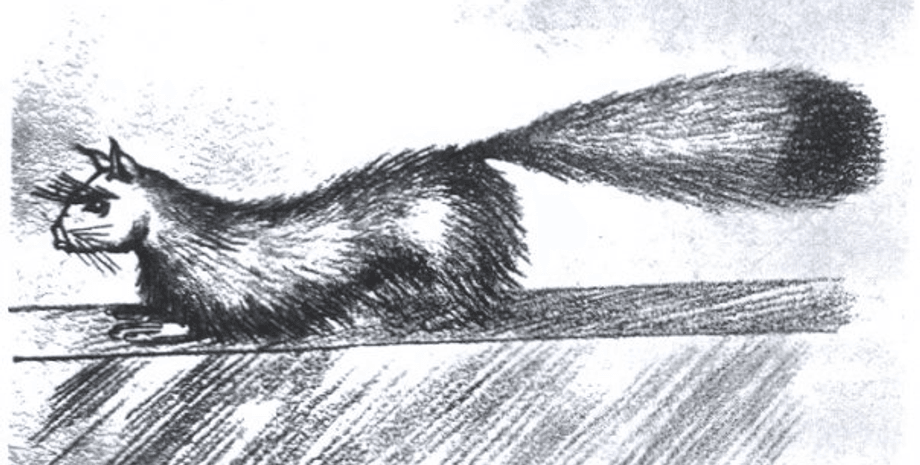 Джеф, говорящий мангуст, говорящий мангуст, история, паранормальные явления, Призрак Далби, тайны острова Мэн, Паранормальное явление 1930-х годов, британский фольклор