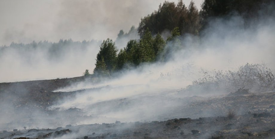 Фото с сайта ria.ru