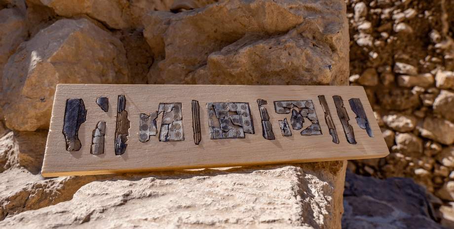 фрагменты слоновой кости, кость, скалы, фото