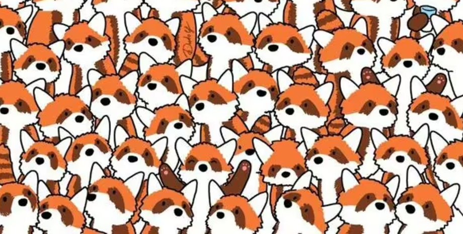 Визуальная головоломка, головоломка, тест, загадка, лисицы, красные панды, соцсети, внимательность, художник Дудаш