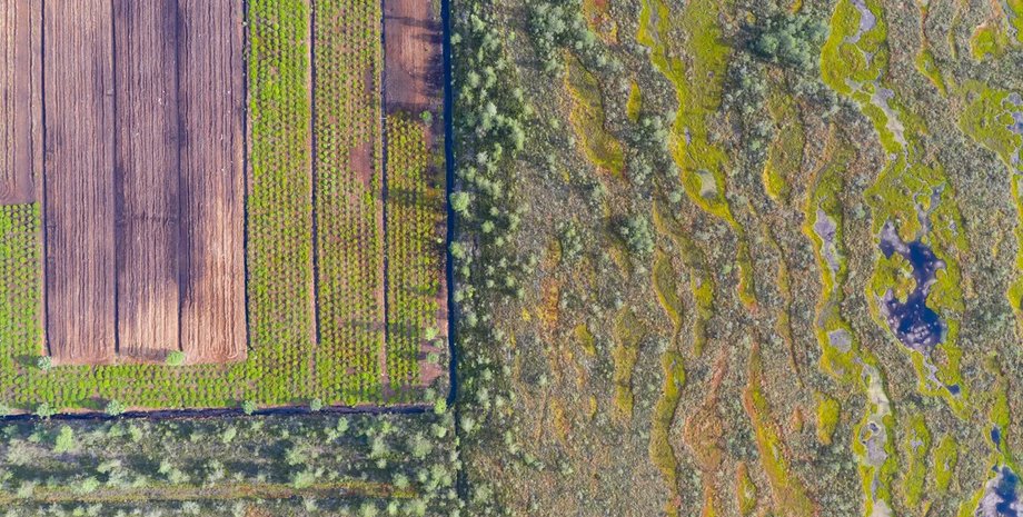 биоразнооюразие, биоразнообразие земли, земля биоразнообразие