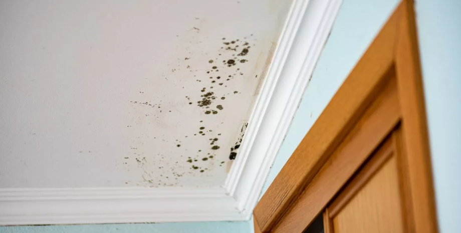 Пятна на потолке почему появляются, следы на потолке, причины почернения потолка в комнатах, что с этим делать, Великобритания, фото