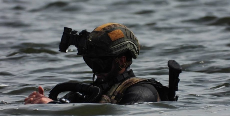 война в украине, остров змеиный, спецоперация, кирилл буданов