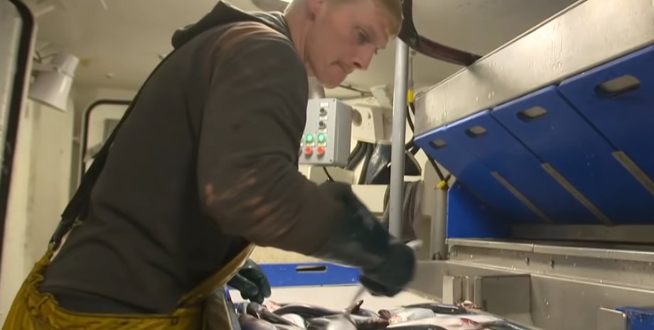 Рыба, Великобритания, торговля, импорт