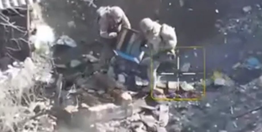 зсу пчелы улей