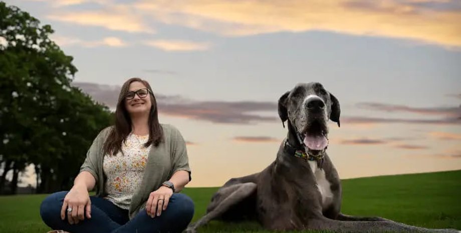 Зевс, німецький дог, собака, рекордсмен