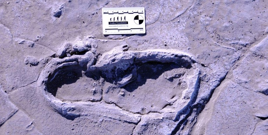 Фото: William Harcourt-Smith