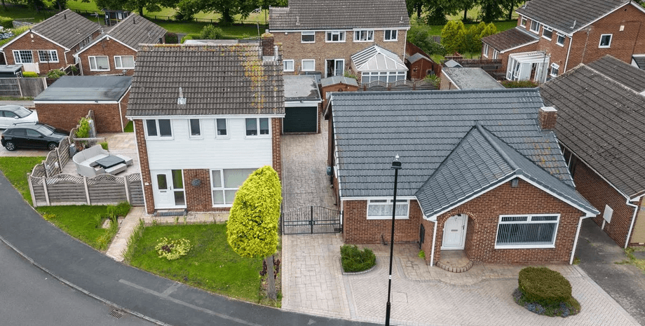 Половина дерева, распиленное дерево, дерево распили пополам, туристическая достопримечательность, ссора соседей, конфликт между соседями