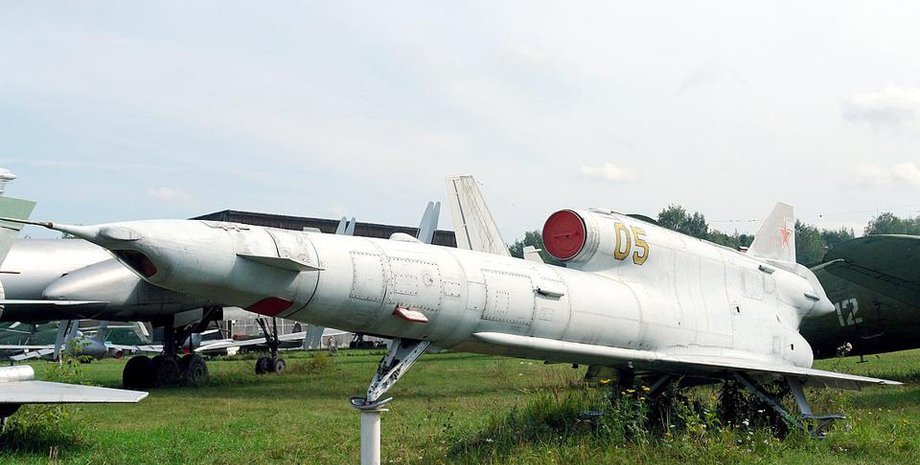 дрон Стриж, дрон, бпла, безпілотник Ту-141