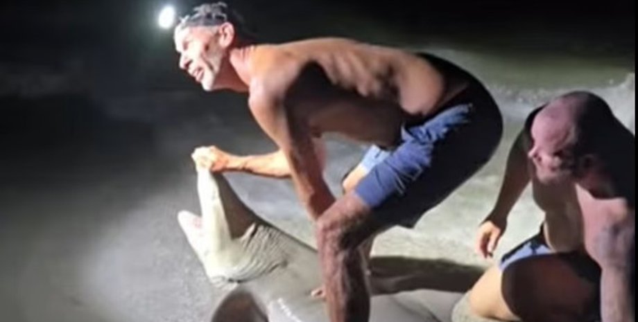 Рибалка отримав поранення під час спроби сфотографуватися з лимонною акулою