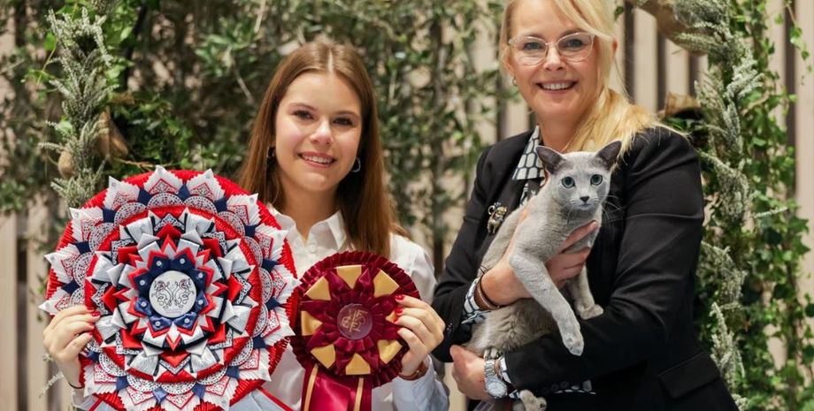 Назван самый красивый кот в мире, Всемирная выставка кошек, русская голубая кошка, архангельский голубой кот, архангельский голубой кот