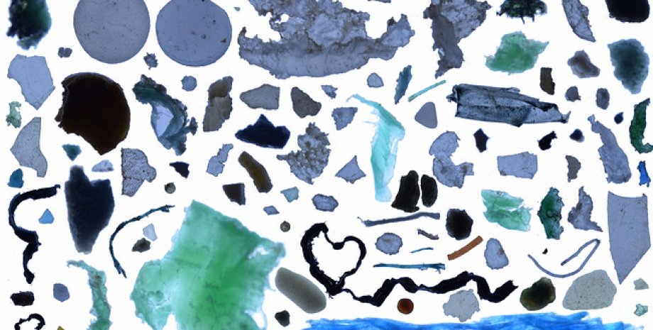 Коллаж из пластика, собранного в Северном Ледовитом океане / Фото: Tara Expeditions Foundation