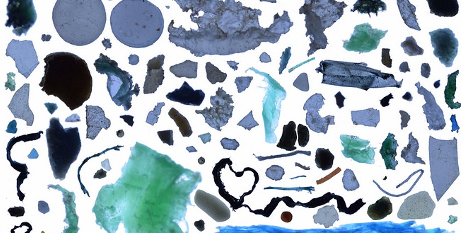 Коллаж из пластика, собранного в Северном Ледовитом океане / Фото: Tara Expeditions Foundation