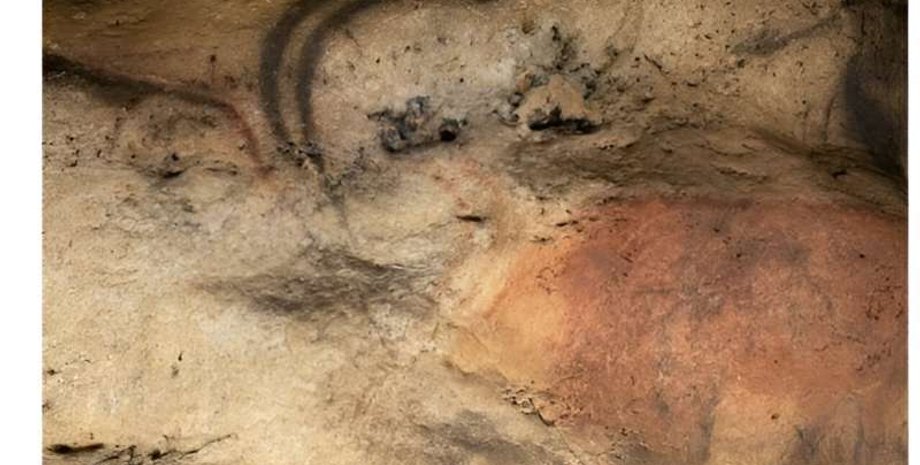 пещера, Франция, Фон-де-Гом, рисунки, изображения, пещера бизонов, палеолит, уголь, ученые, исследования, животные, материалы