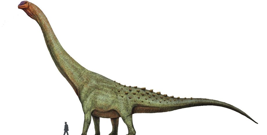 динозавры, кости, Аргентина, титанозавры, dinosaur
