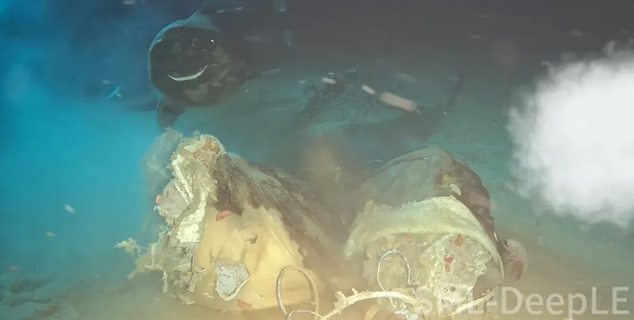 океан акули