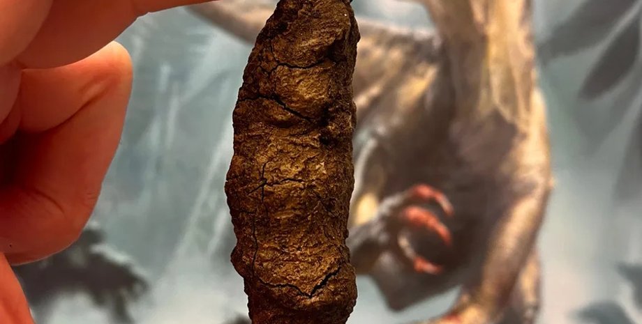 динозаври, скам'янілості динозаврів, копроліти