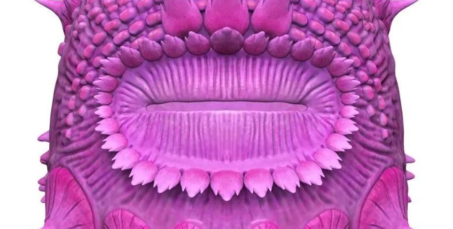 Saccorhytus, зморшкуватий мішок