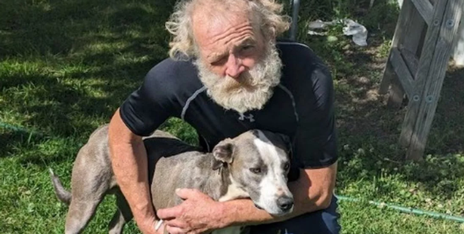 Второй Лесси, пес спас своего хозяина, который разбился в ДТП, курьезы, интересные истории, фото, США, спасение